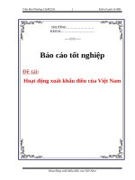 Tài liệu Báo cáo tốt nghiệp 