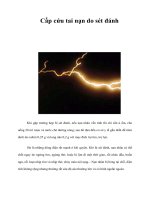 Tài liệu Cấp cứu tai nạn do sét đánh pdf