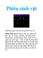 Tài liệu phiêu sinh vật pdf