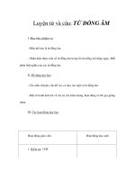 Tài liệu Luyện từ và câu - TỪ ĐỒNG ÂM docx