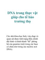 Tài liệu DNA trong thực vật giúp cho tế bào trường thọ doc
