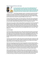 Tài liệu Hãy chơi game giỏi để được tuyển dụng! pdf