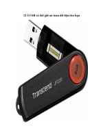 Tài liệu 12 ổ USB có thể giữ an toàn dữ liệu cho bạn pptx