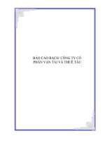 Tài liệu BÁO CÁO BẠCH: CÔNG TY CỔ PHẦN VẬN TẢI VÀ THUÊ TÀU docx