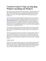 Tài liệu CrossOver Linux 9: Chạy các ứng dụng Windows mà không cần Windows pdf