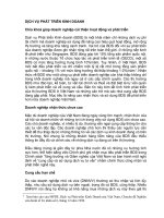 Tài liệu Dịch vụ phát triển kinh doanh pptx