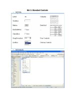 Tài liệu Bài 2: Standard Controls ppt