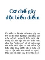 Tài liệu Cơ chế gây đột biến điểm pdf
