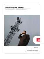 Tài liệu ADC PROFESSIONAL SERVICES Distributed Antenna Systems Maintenance doc
