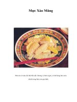 Tài liệu Mực Xào Măng pdf