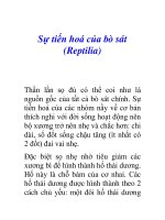 Tài liệu Sự tiến hoá của bò sát (Reptilia) pdf