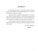 ĐẶC ĐIỂM ĐỊA CHẤT, THẠCH HỌC – KHOÁNG VẬT, THẠCH ĐỊA HÓA CÁC THÀNH TẠO MAGMA CỦA TỔ HỢP OPHIOLIT KON TUM