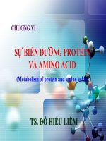 Chuong IV-SỰ BIẾN DƯỠNG PROTEIN VÀ AMINO ACID