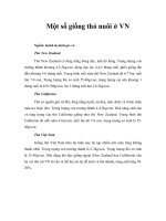 Tài liệu Một số giống thỏ nuôi ở VN pdf