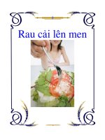 Tài liệu Rau cải lên men ppt