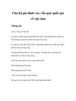 Tài liệu Cho hộ gia đình vay vốn quỹ quốc gia về việc làm pdf