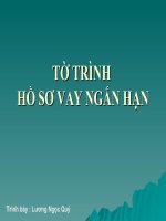 TỜ TRÌNH HỒ SƠ VAY NGẮN HẠN