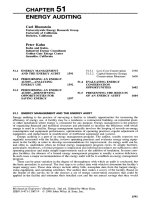 Tài liệu ENERGY AUDITING Carlf docx