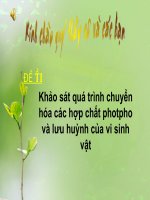 Tài liệu Bài thuyết trình 