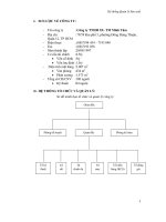 Tài liệu Hệ thống Quản lý Sản suất ppt