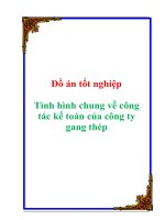 Tài liệu Đề Tài: Tình hình chung về công tác kế toán của công ty gang thép ppt