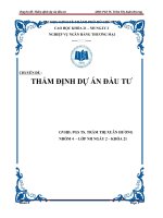 CHUYÊN đề  THẨM ĐỊNH dự án đầu tư 