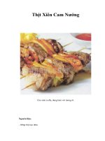 Tài liệu Thịt Xiên Cam Nướng ppt