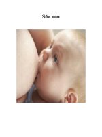 Tài liệu Sữa non docx