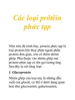 Tài liệu Các loại prôtêin phức tạp pdf