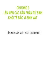Tài liệu CHƯƠNG 3 LÊN MEN CÁC SẢN PHẨM TỪ SINH KHỐI TẾ BÀO VI SINH VẬT pptx