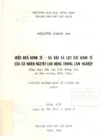 Luận án phó tiến sỹ Hiệu quả kinh tế xã hội và lợi ích kinh tế của cá nhân người lao động trong lâm nghiệp