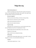 Tài liệu Nhập đàn ong pptx