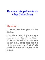 Tài liệu Da và các sản phẩm của da ở lớp Chim (Aves) ppt