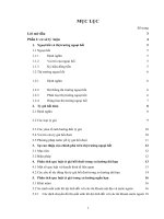 TÌNH HÌNH tỷ GIÁ của VIỆT NAM TRONG NHỮNG năm QUA