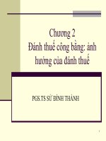 Tài liệu Đánh thuế công bằng: ảnh hưởng của đánh thuế pptx