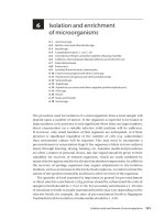 Tài liệu Practical Food Microbiology 3rd Edition - Part 6 docx