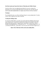 Tài liệu Print Labels and Control the Order in Which Records Will Be Printed ppt