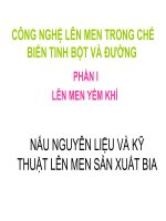 Tài liệu CÔNG NGHỆ LÊN MEN TRONG CHẾ BIẾN TINH BỘT VÀ ĐƯỜNG pptx