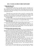 Tài liệu BÀI 3: TAI NẠN LAO ĐỘNG VÀ BỆNH NGHỀ NGHIỆP doc