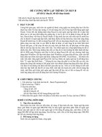 Tài liệu ĐỀ CƯƠNG MÔN LẬP TRÌNH CĂN BẢN B pdf