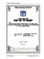 Một số giải pháp nhằm nâng cao hiệu quả của hoạt động đầu tư tại công ty cổ phần đầu tư và xây dựng HUD 