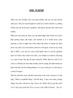 Tài liệu THE TURNIP -GRIMM''''S FAIRY TALE ppt