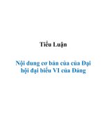 Tài liệu TIỂU LUẬN: 