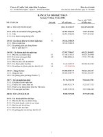 Tài liệu BẢNG CÂN ĐỐI KẾ TOÁN NĂM 2006 CÔNG TY CỔ PHẦN XUẤT NHẬP KHẨU PETROLIMEX doc