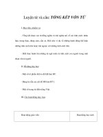 Tài liệu Luyện từ và câu - TỔNG KẾT VỐN TỪ (1) pptx