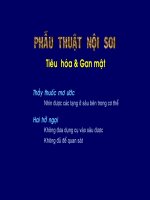 Phẫu thuật nội soi - Tiêu hóa và gan mật