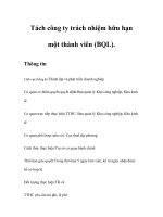 Tài liệu Tách công ty trách nhiệm hữu hạn một thành viên (BQL) doc