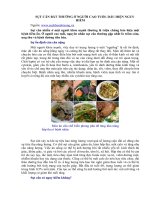 Tài liệu SỤT CÂN BẤT THƯỜNG Ở NGƯỜI CAO TUỔI- DẤU HIỆN NGUY HIỂM pdf
