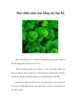 Tài liệu Mẹo chữa cảm cúm bằng cây bạc hà ppt