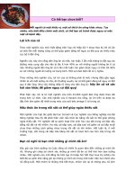 Tài liệu Có thể bạn chưa biết doc